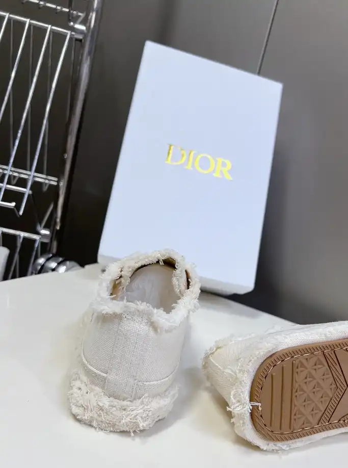 hype Christian Dior Casual Shoes