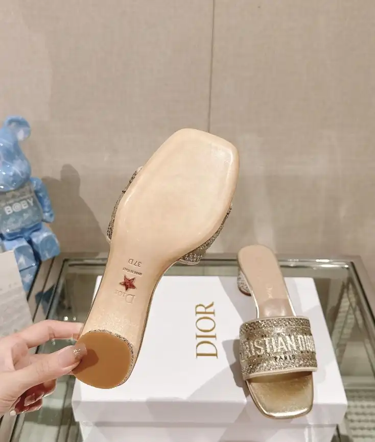 hype Christian Dior Slippers