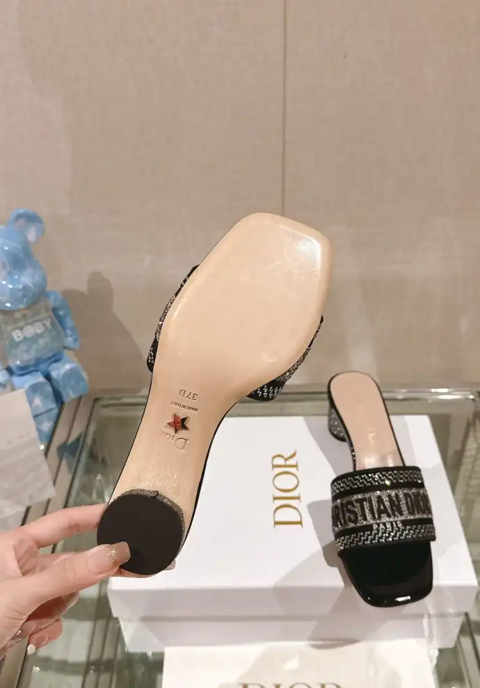 hype Christian Dior Slippers