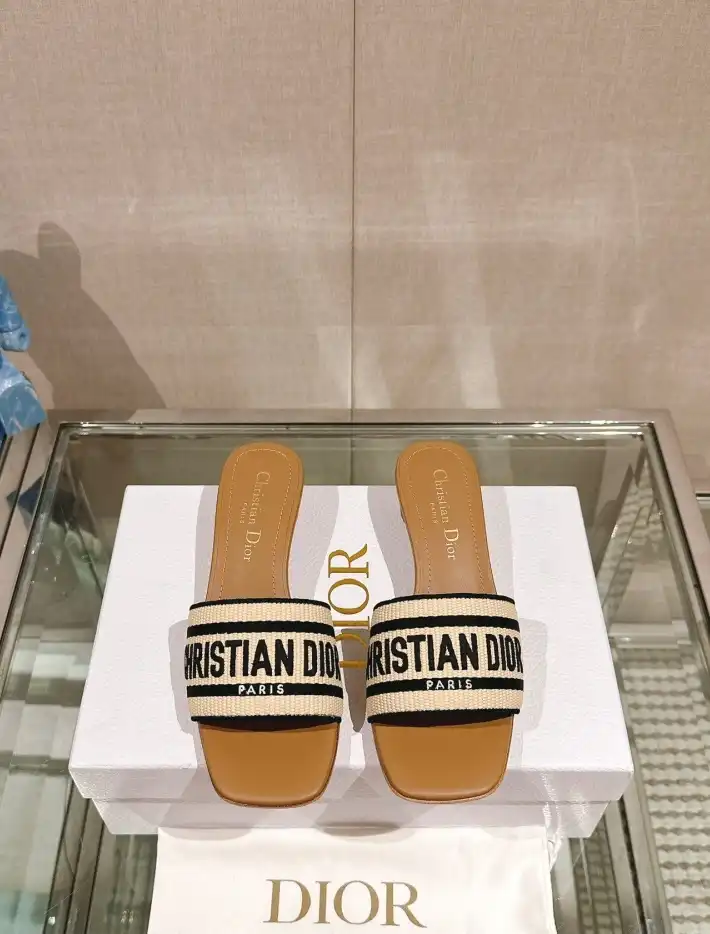 hype Christian Dior Slippers