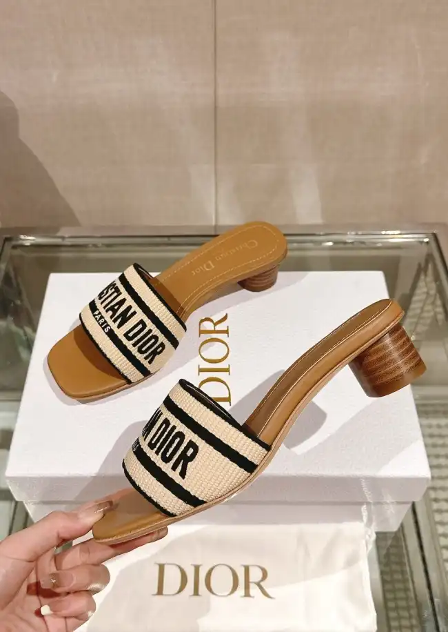 hype Christian Dior Slippers