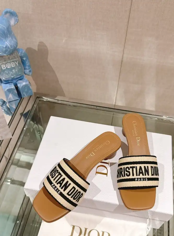 hype Christian Dior Slippers