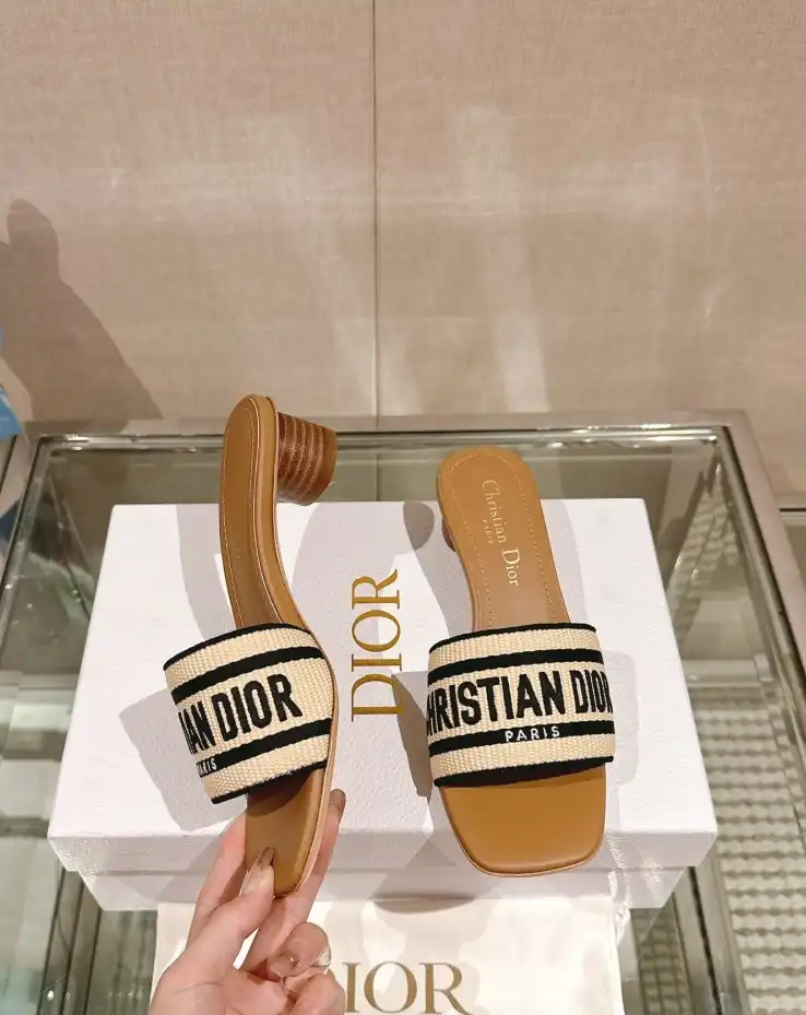 hype Christian Dior Slippers