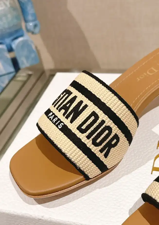 hype Christian Dior Slippers