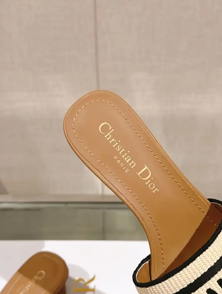 hype Christian Dior Slippers