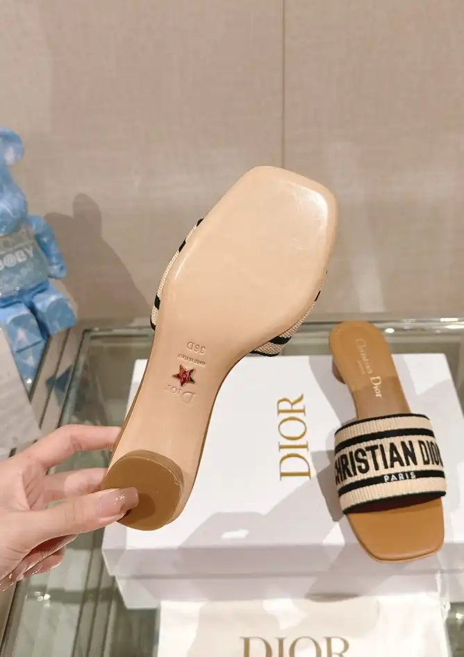 hype Christian Dior Slippers