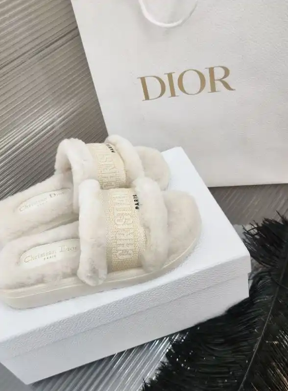 hype Christian Dior Slippers