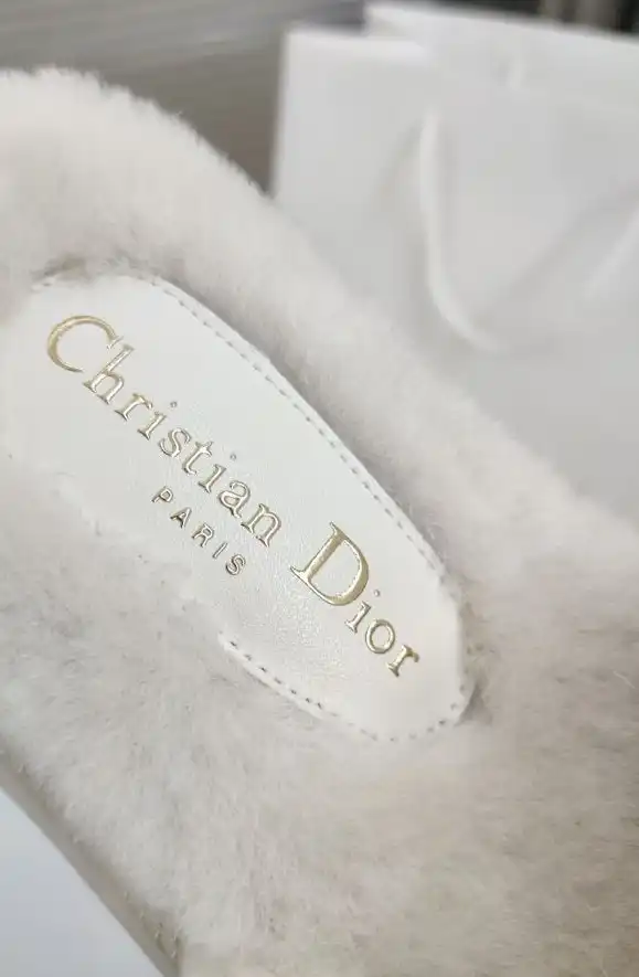 hype Christian Dior Slippers