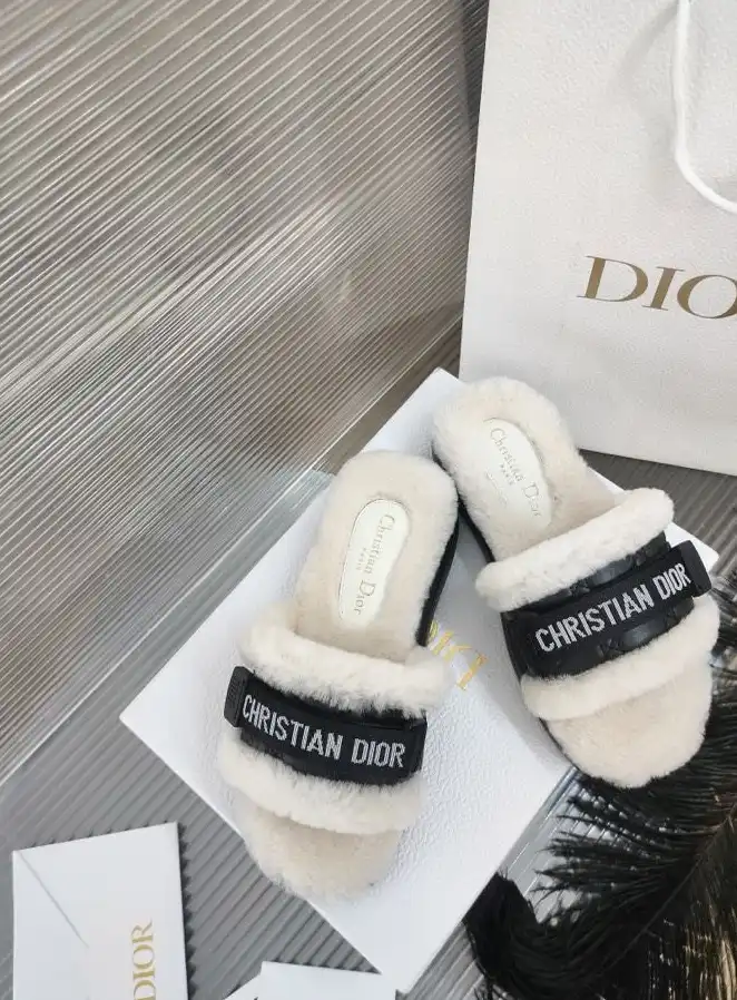 hype Christian Dior Slippers