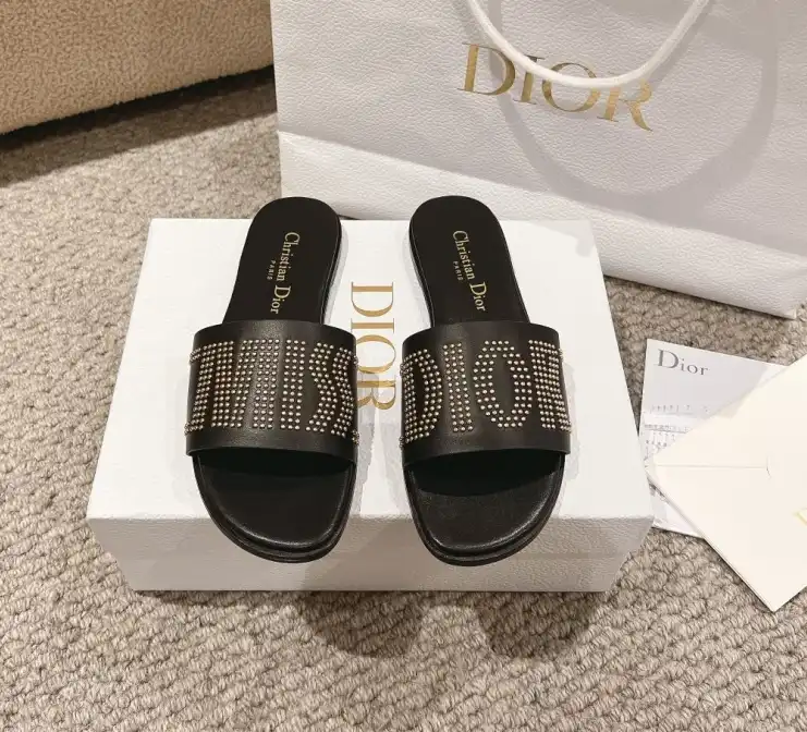 hype Christian Dior Slippers