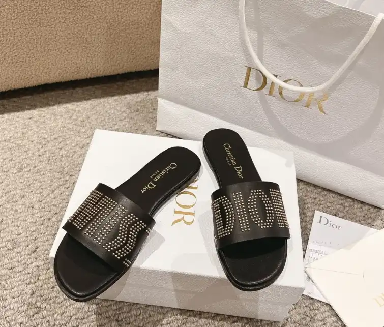 hype Christian Dior Slippers