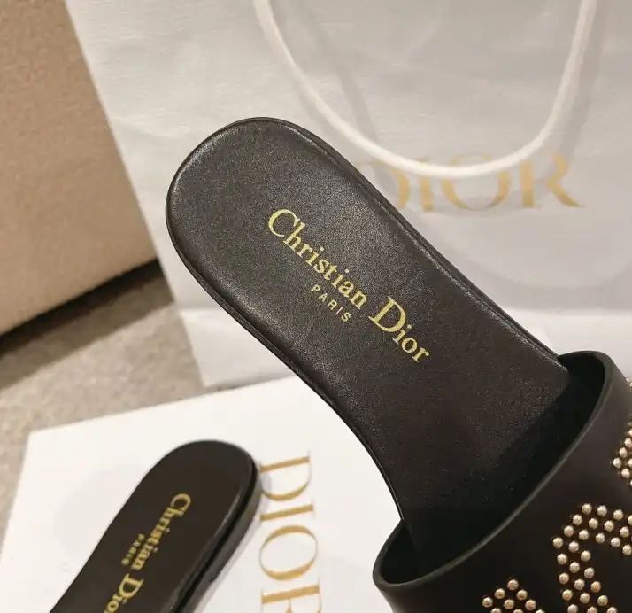 hype Christian Dior Slippers