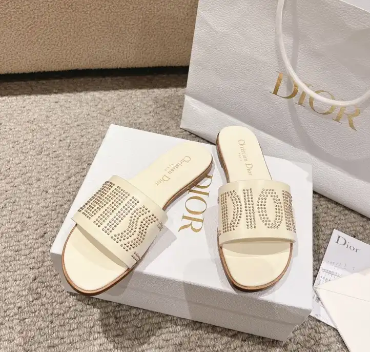 hype Christian Dior Slippers