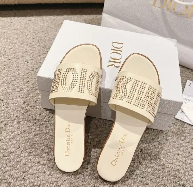 hype Christian Dior Slippers