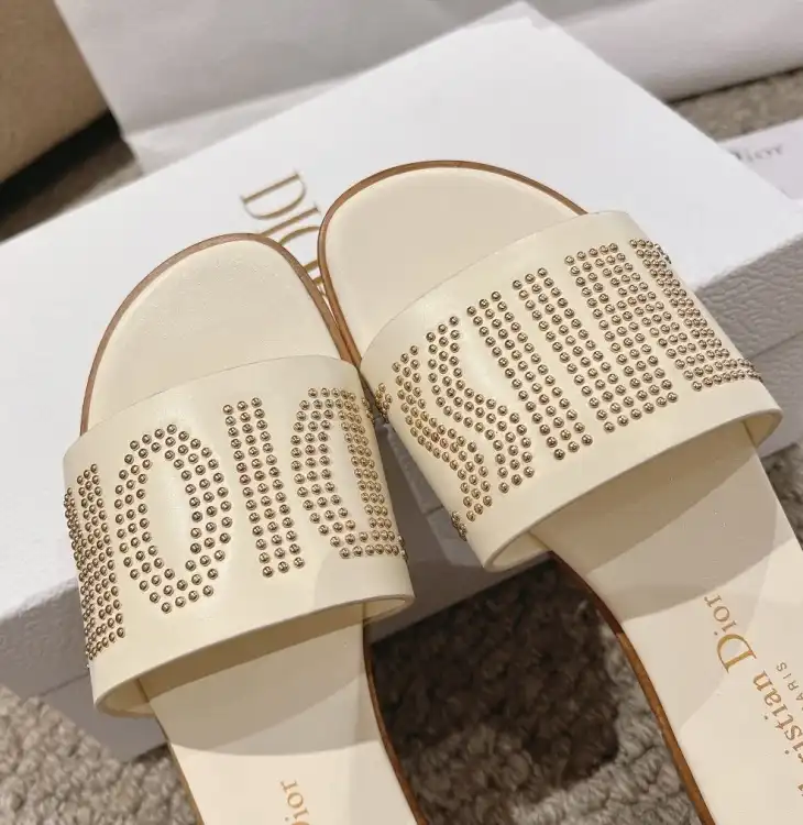 hype Christian Dior Slippers