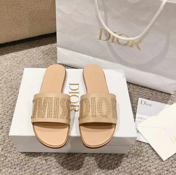 hype Christian Dior Slippers