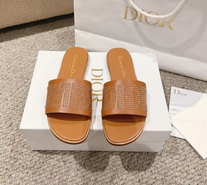 hype Christian Dior Slippers