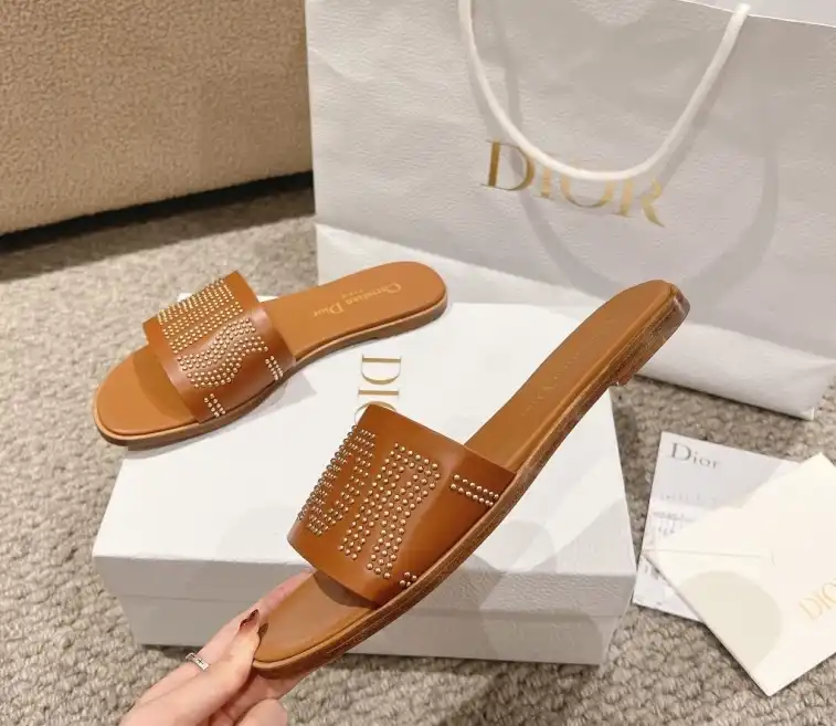 hype Christian Dior Slippers