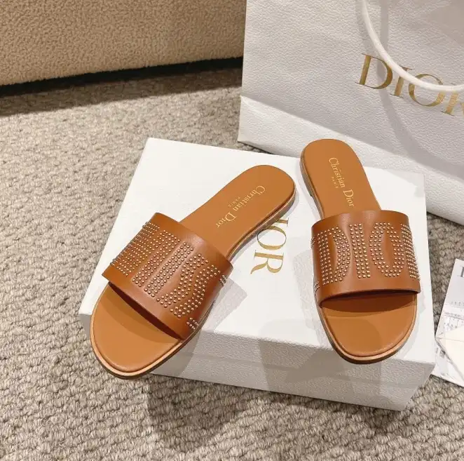 hype Christian Dior Slippers