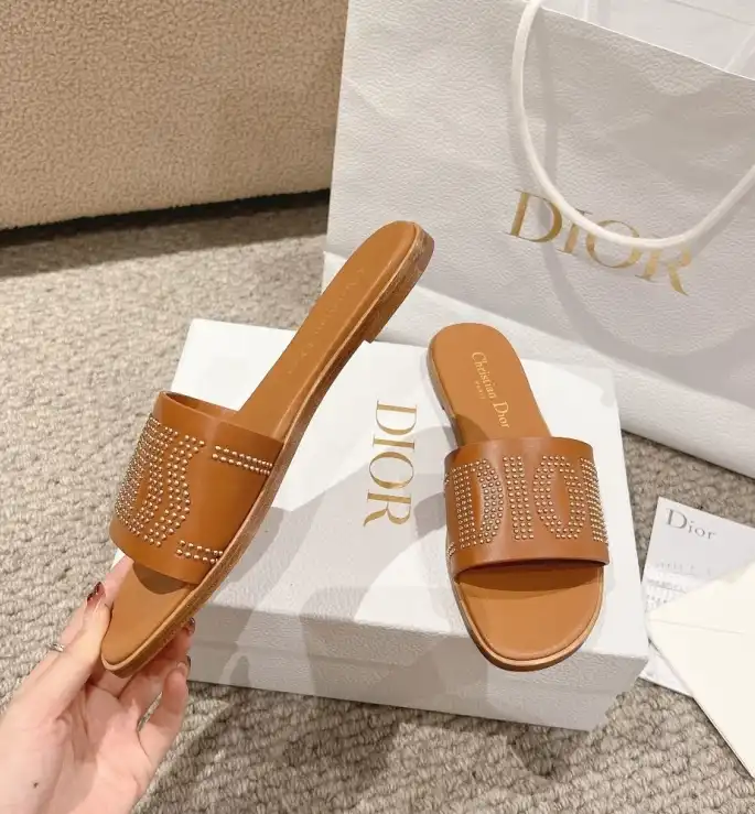 hype Christian Dior Slippers