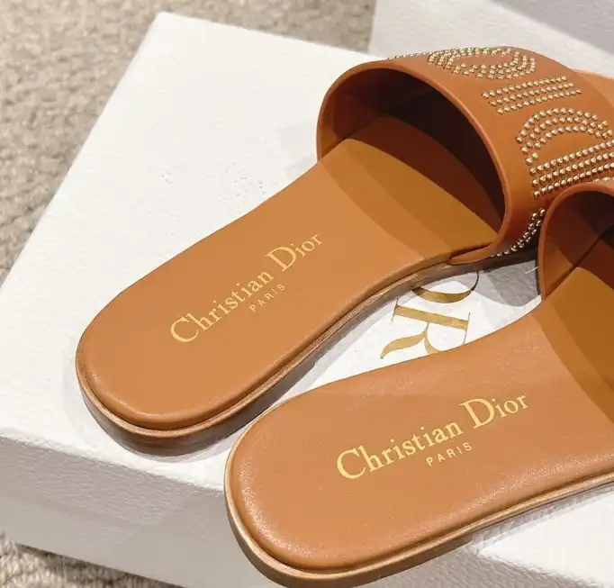 hype Christian Dior Slippers