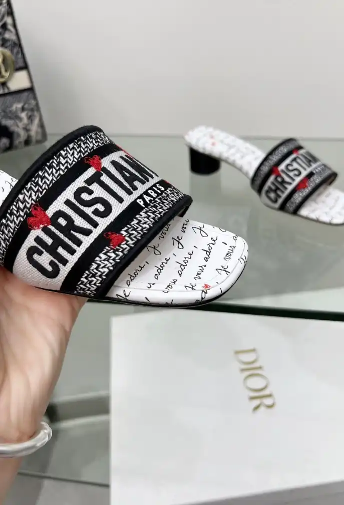 hype Christian Dior Slippers