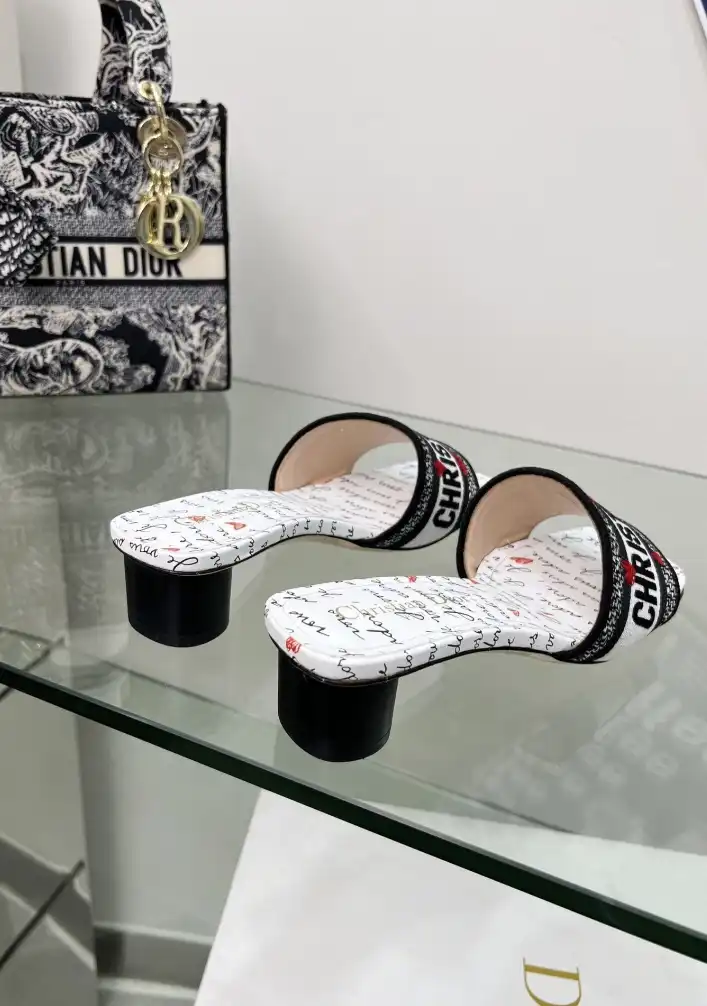 hype Christian Dior Slippers