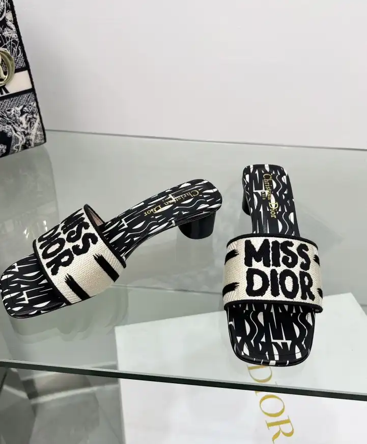 hype Christian Dior Slippers