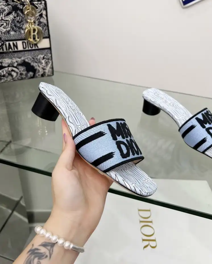 hype Christian Dior Slippers