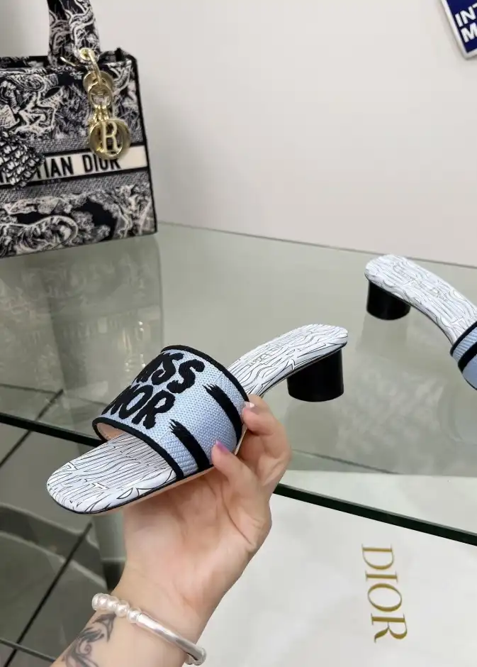 hype Christian Dior Slippers