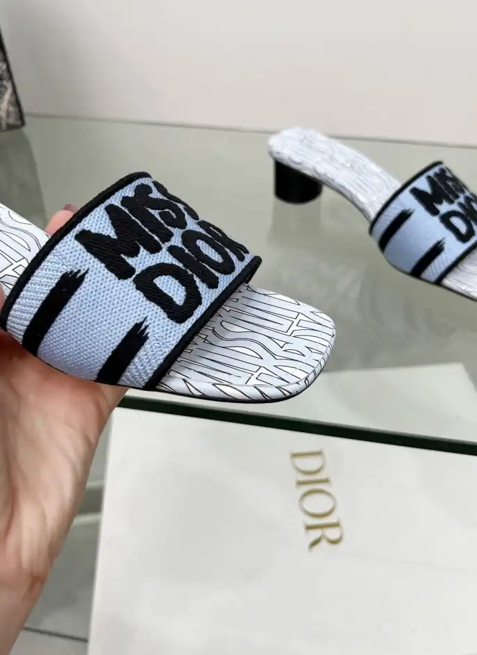 hype Christian Dior Slippers