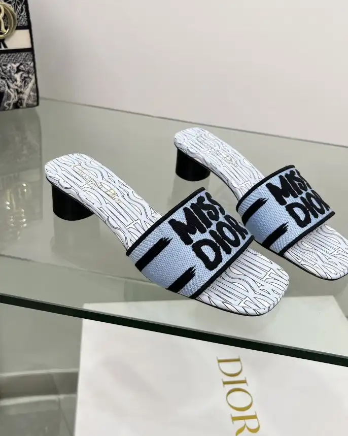 hype Christian Dior Slippers