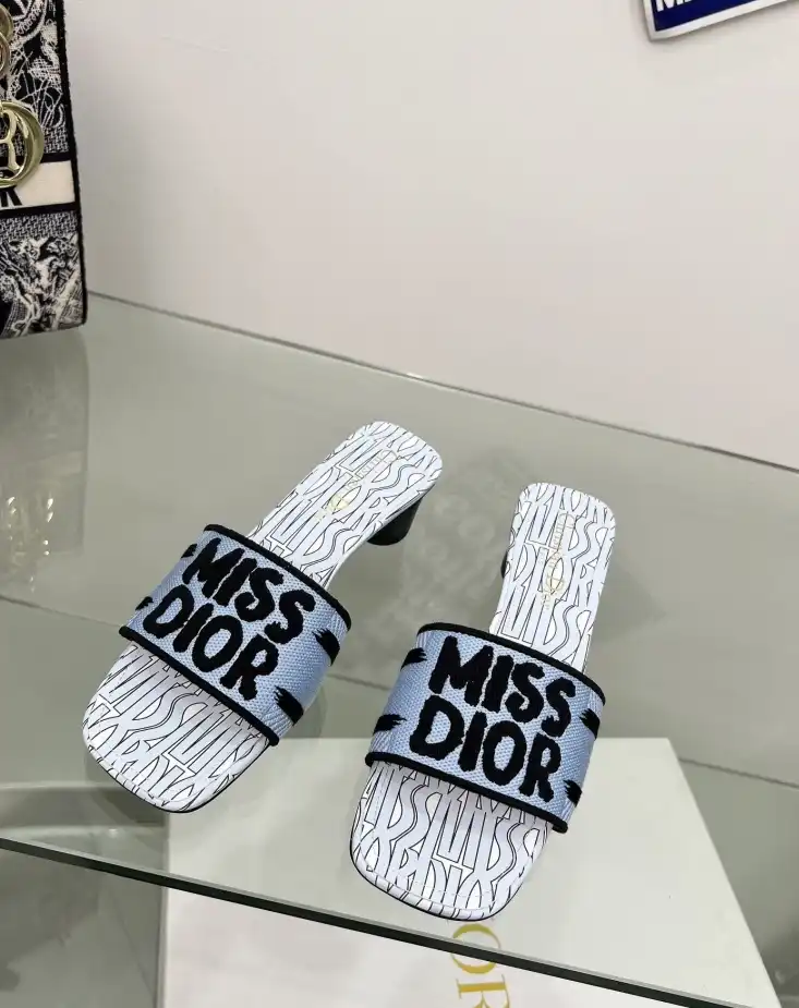 hype Christian Dior Slippers