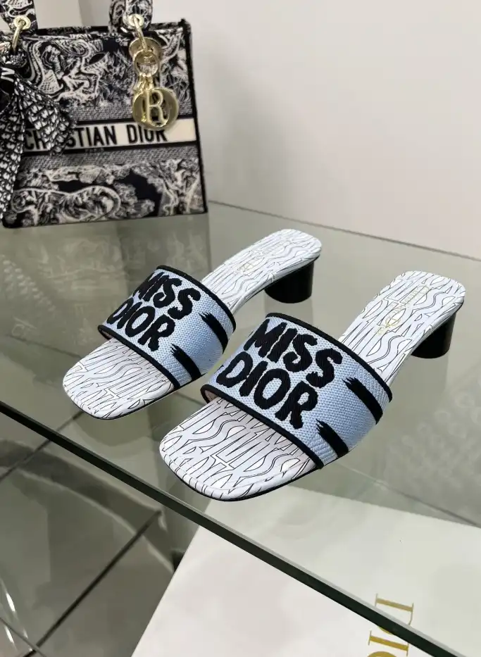 hype Christian Dior Slippers