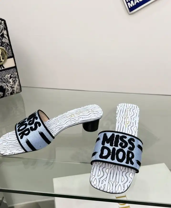 hype Christian Dior Slippers