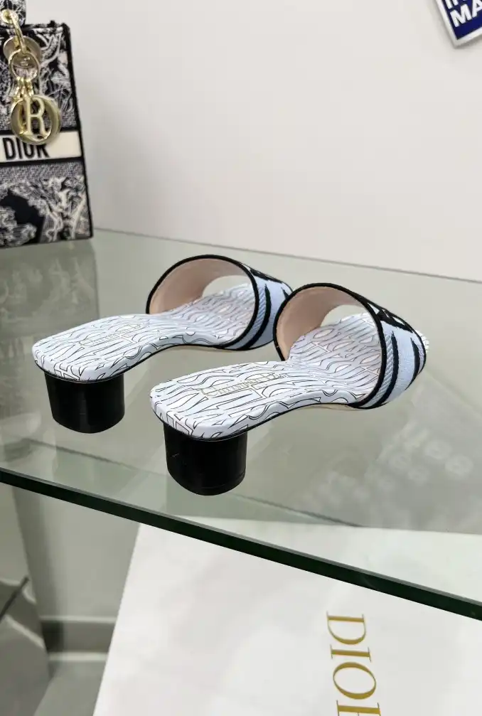 hype Christian Dior Slippers