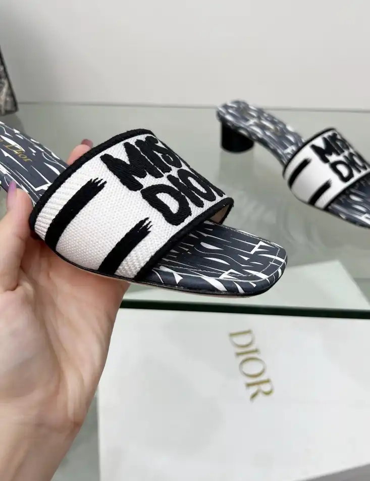 hype Christian Dior Slippers