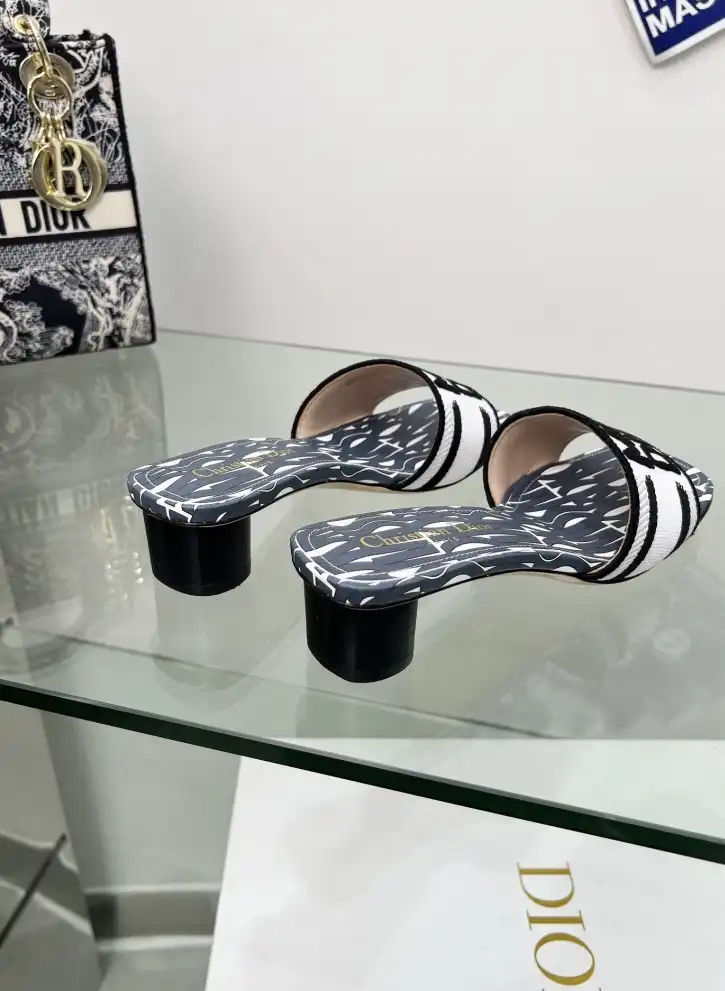 hype Christian Dior Slippers