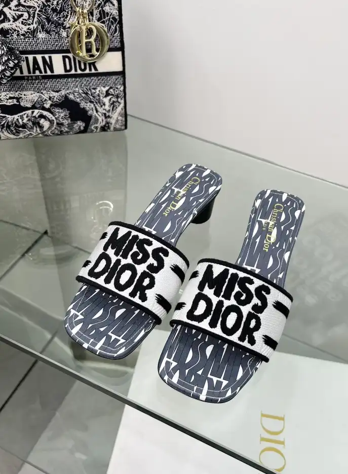 hype Christian Dior Slippers