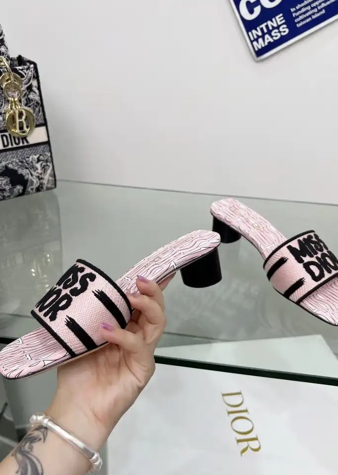 hype Christian Dior Slippers