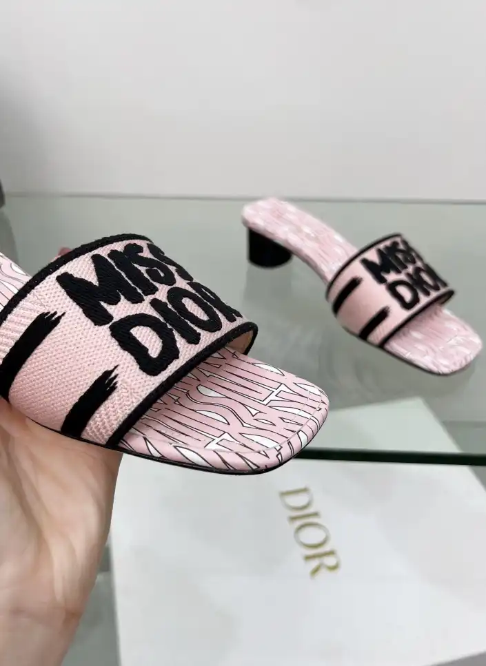 hype Christian Dior Slippers