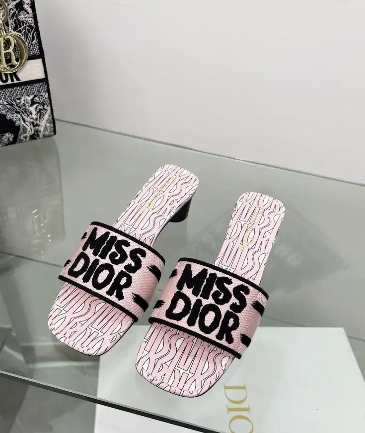 hype Christian Dior Slippers