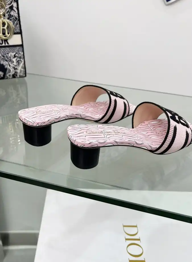 hype Christian Dior Slippers