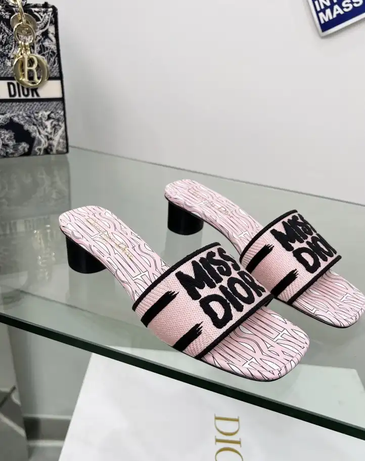 hype Christian Dior Slippers