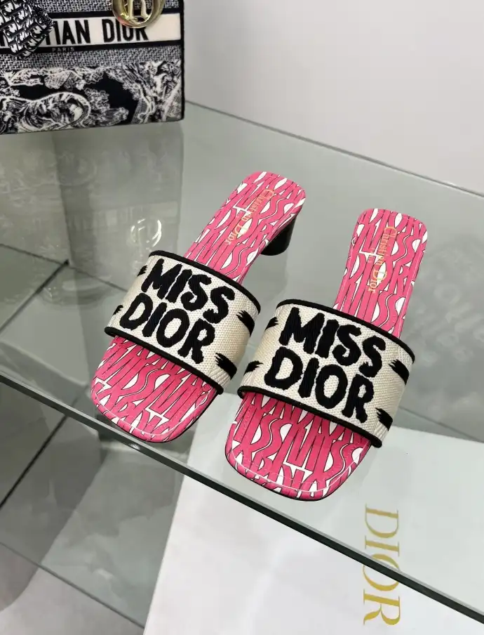 hype Christian Dior Slippers