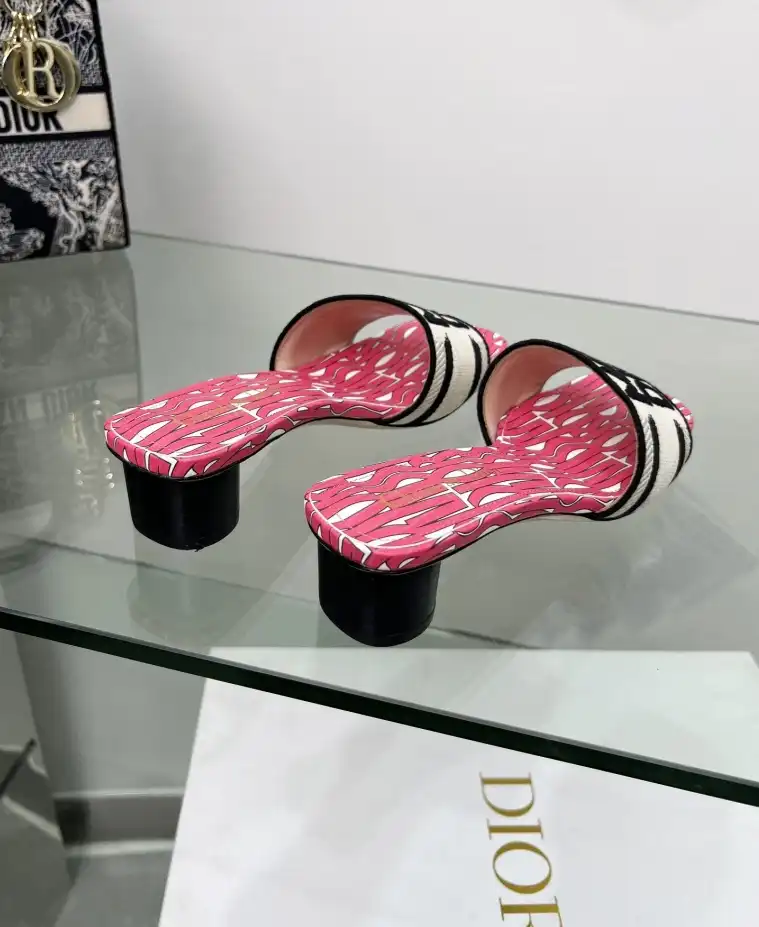 hype Christian Dior Slippers