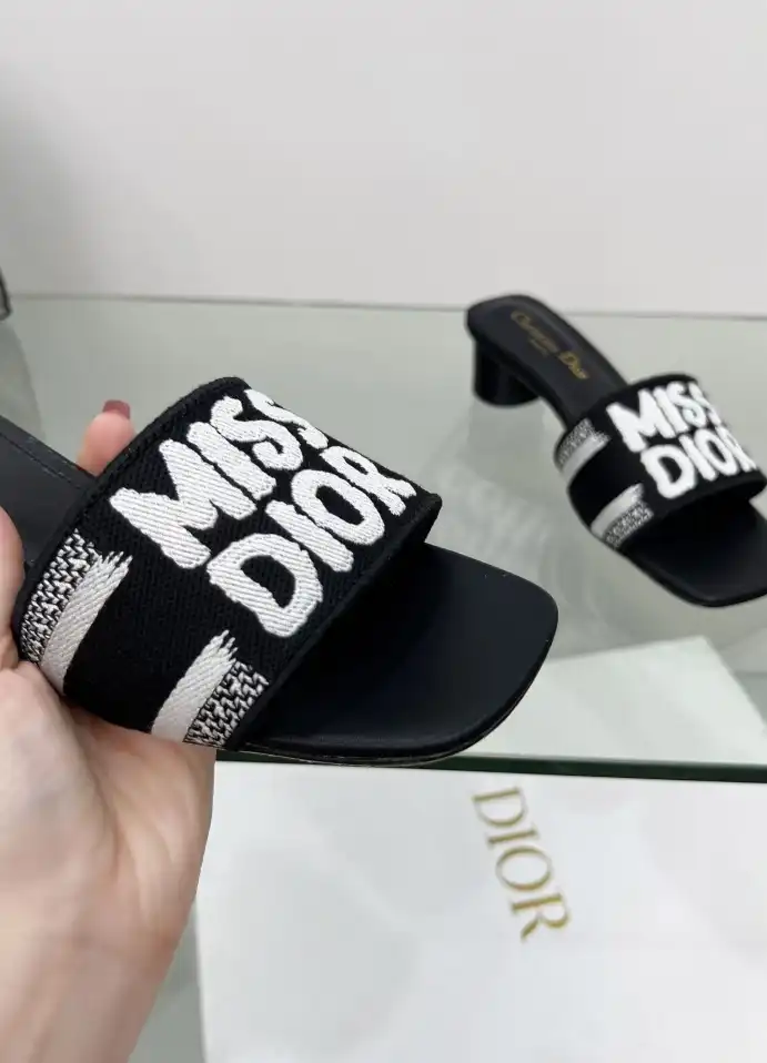 hype Christian Dior Slippers