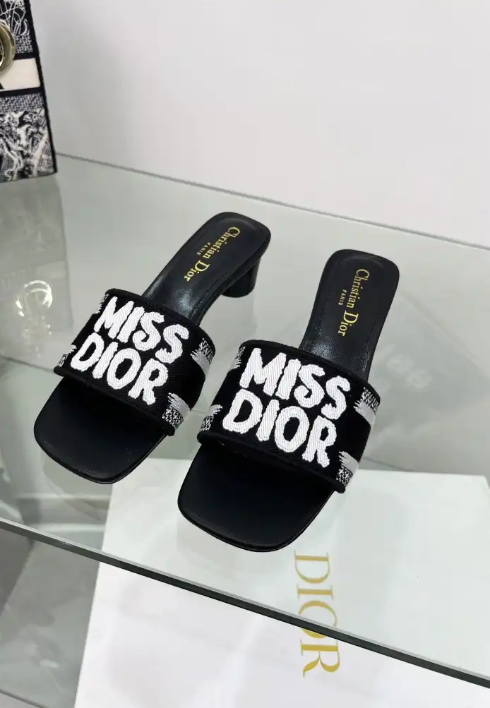 hype Christian Dior Slippers