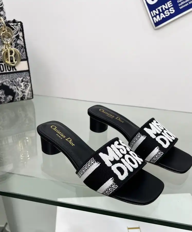 hype Christian Dior Slippers