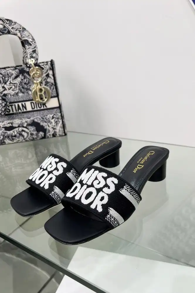 hype Christian Dior Slippers